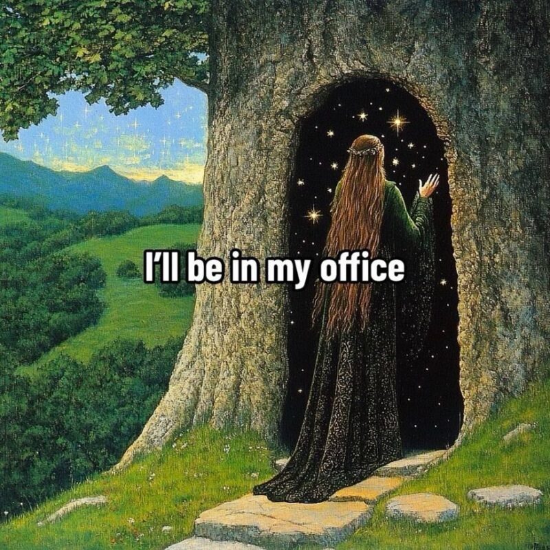 A robed figure stepping through a doorway in an ancient tree into a starlit space, captioned: I'll be in my office